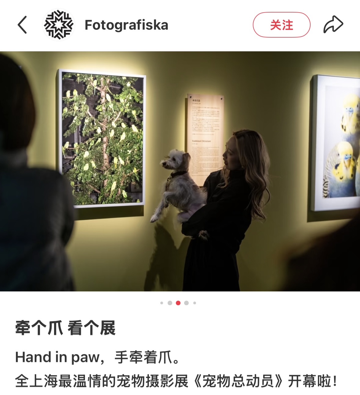 “昙花一现”是民营美术馆的宿命吗?