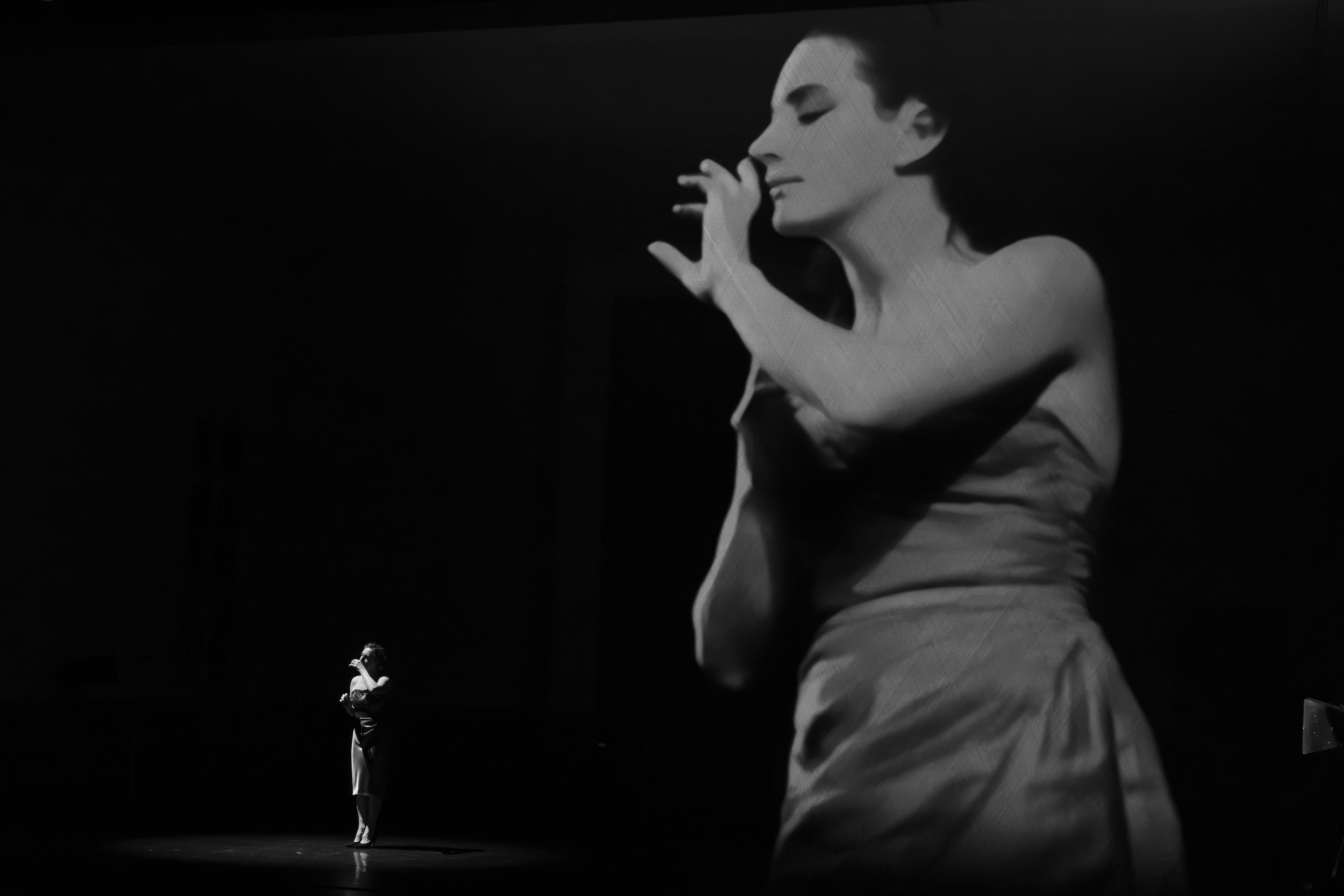 在2025年寻找皮娜·鲍什