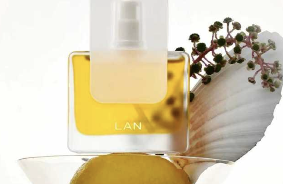 截屏2025-11-17 16.20.33.png