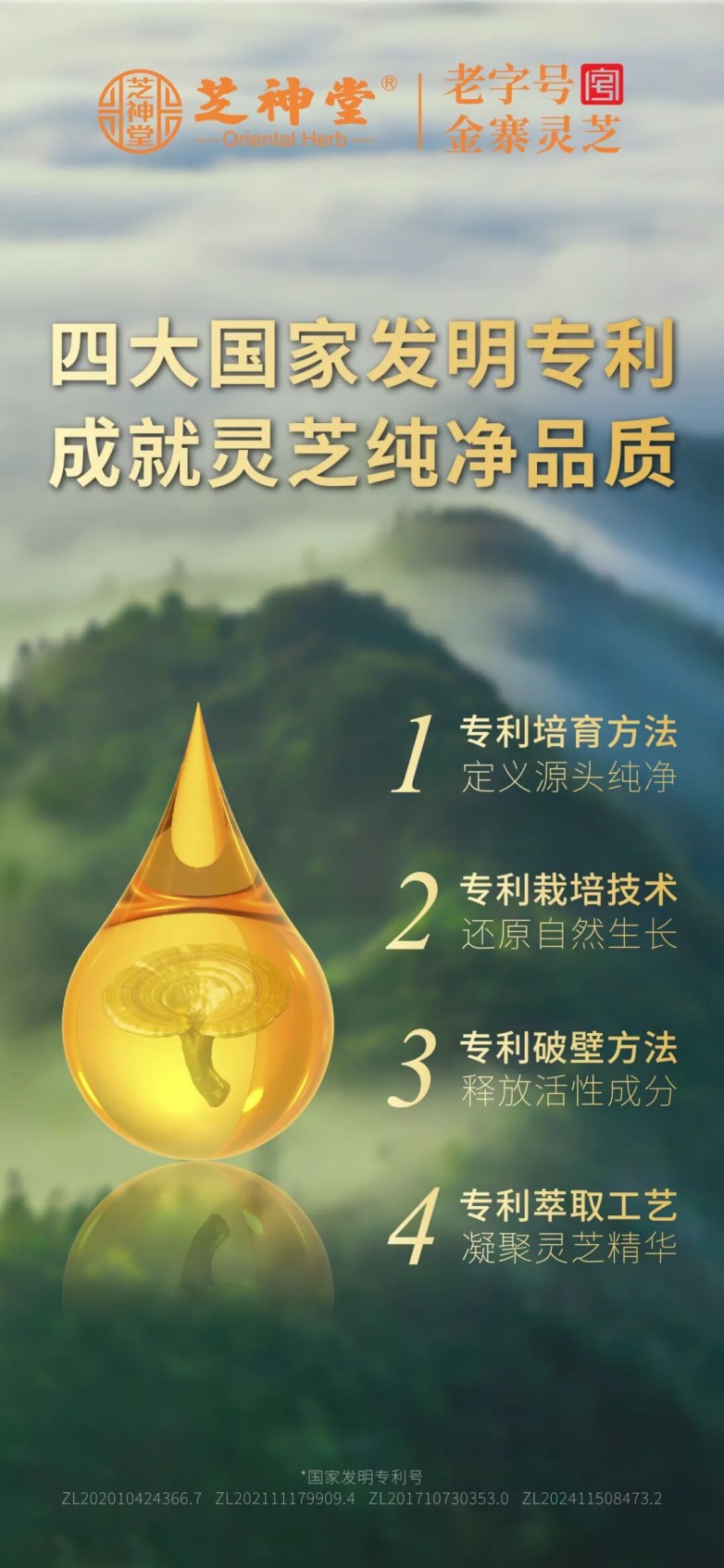 1763435850973356.jpg 2.jpg