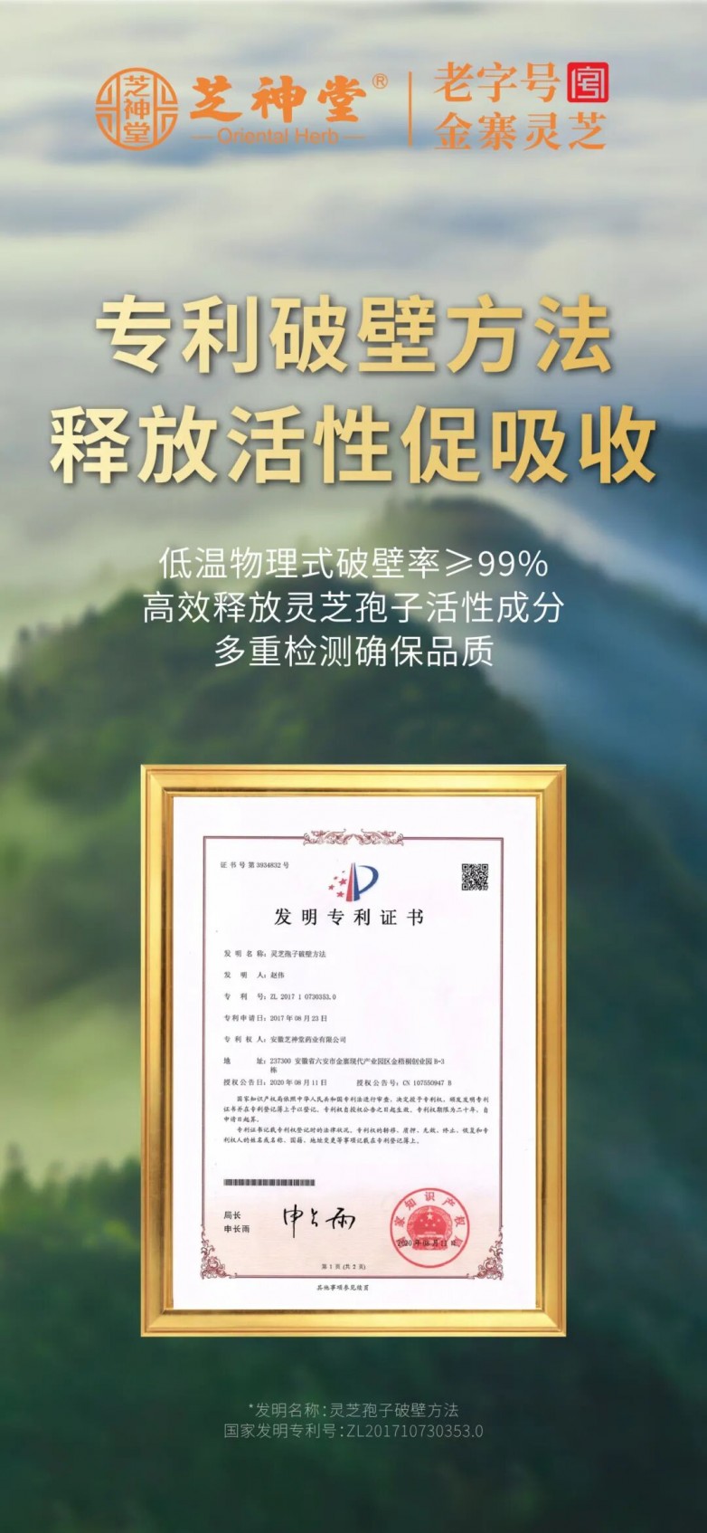 1763436000178685.jpg 12.jpg