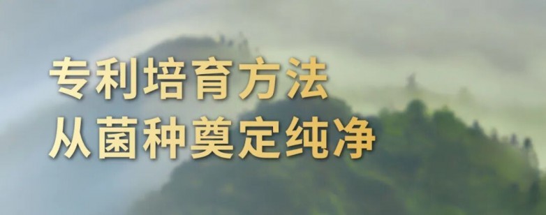 1763435855842745.jpg 3.jpg