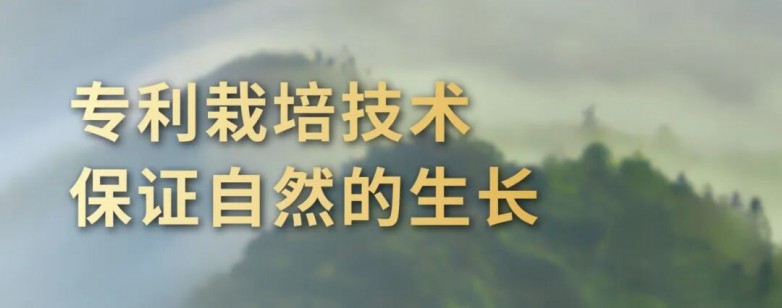 1763435891245506.jpg 6.jpg