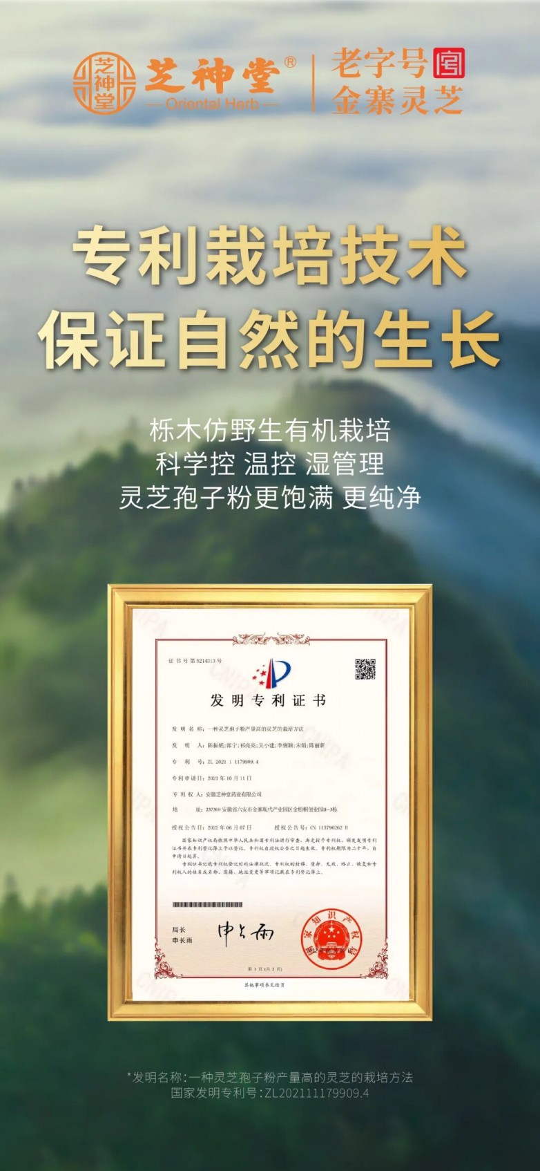 1763435908778384.jpg 7.jpg