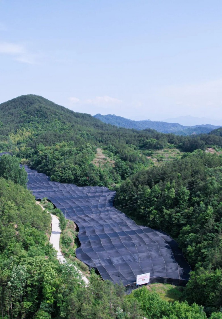 1763435915633822.jpg 8.jpg