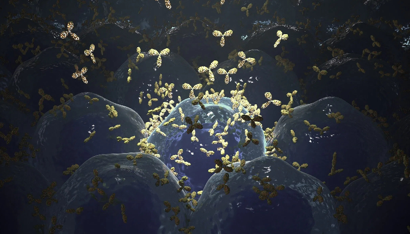 百利天恒获80亿授信，暂缓IPO后继续“输血”国际化