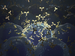 百利天恒获80亿授信，暂缓IPO后继续“输血”国际化