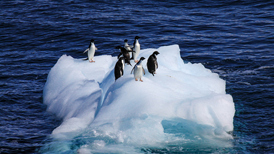 观察|气候峰会首次在美国缺席下落幕,暴露转型中的现实博弈