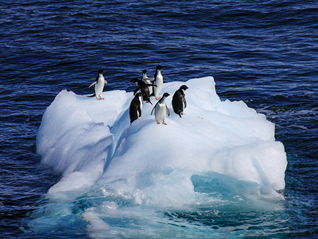 观察｜气候峰会首次在美国缺席下落幕，暴露转型中的现实博弈