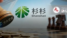 “方大系”杀入杉杉重整，辽宁首富方威的“现金墙”备好了吗？