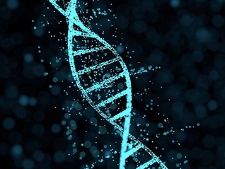 华大基因ChatGeneT正式发布教育版，AI技术全面赋能临床基因组咨询能力提升