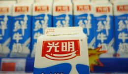 光明乳业全吞小西牛