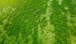 一切文字中，我独爱用血写就者 | 一周新书推荐