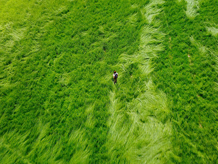 一切文字中，我独爱用血写就者 | 一周新书推荐