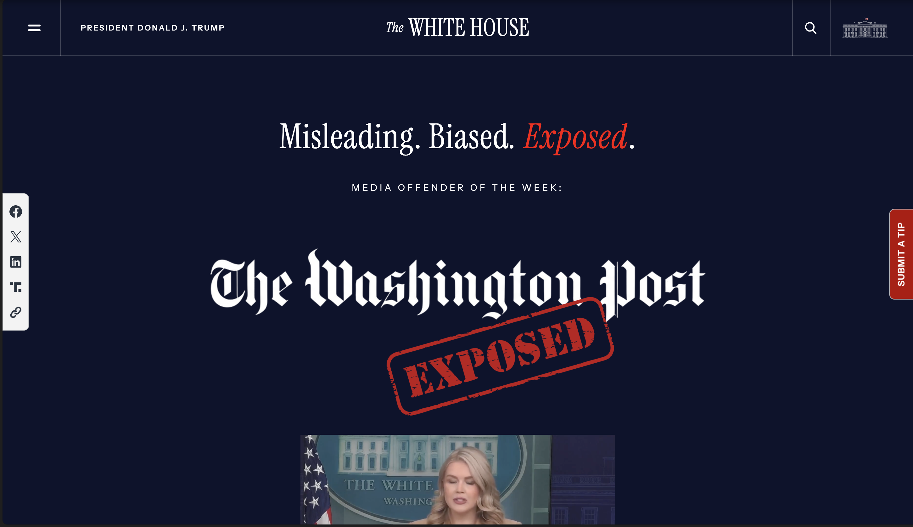 在酒吧读书,是装腔作势吗?丨文化周报