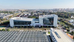 鲜花交易的“上海价格”来了