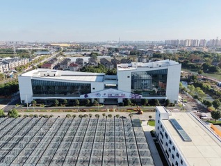 鲜花交易的“上海价格”来了