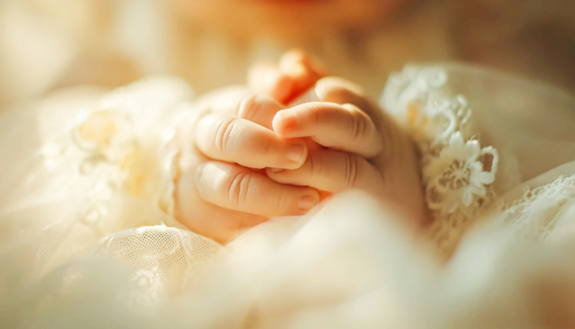 地方新闻精选 | 湖北荆门对试管婴儿最高补贴1万元 新疆预计将出现特强寒潮