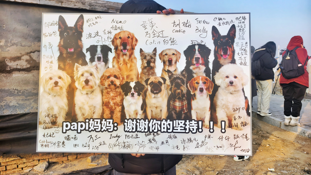 北京首例宠物投毒刑案宣判,“反虐待动物”下一步能走向哪?