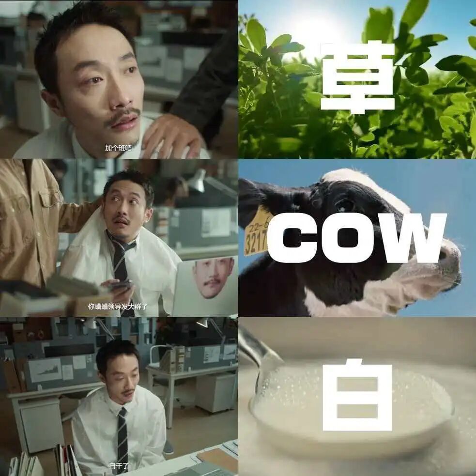 揭秘张兴朝广告收入,品牌撒钱背后的胜败博弈!