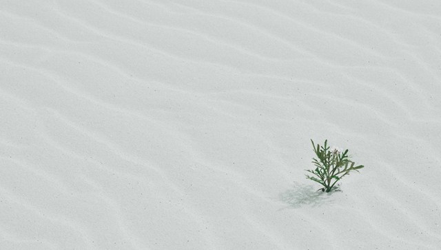 不希望生命是此刻之外的其他模样｜一周新书推荐