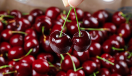 800元一颗，黑草莓、粉菠萝凭什么走红？