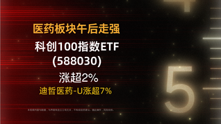 醫(yī)藥板塊午后走強(qiáng)，科創(chuàng)100指數(shù)ETF(588030)漲超2%，迪哲醫(yī)藥-U漲超7%