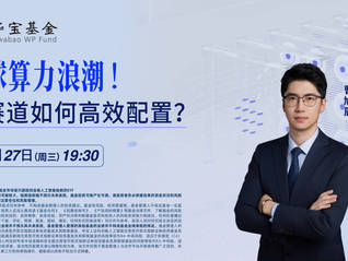 全球算力浪潮！AI赛道如何高效配置？