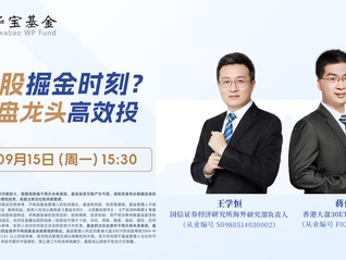 港股掘金时刻？大盘龙头高效投
