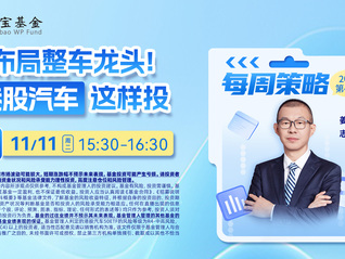 布局整车龙头！港股汽车这样投