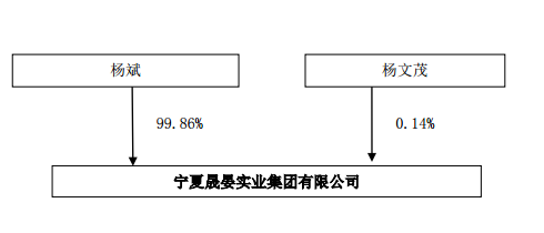 晟晏实业集团的股权架构,杨文茂和杨斌是父子关系或许介绍一下晟晏