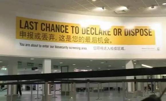 笑尿了 网友自曝过新西兰海关发生的那些奇葩