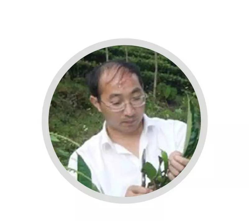 茶學專業排名_西南大學錄取分數線農學_報考攻略