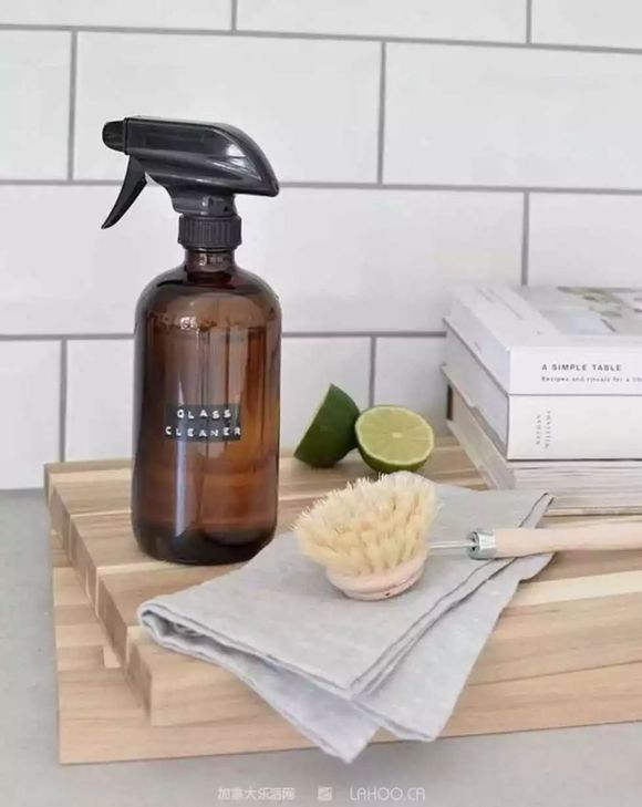 大温华人把加拿大鹅送去,结果连毛都没了