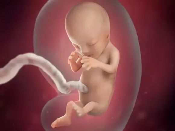 第12周第11周五官的发育逐渐完善第10周宝宝所有的必备器官都开始慢慢