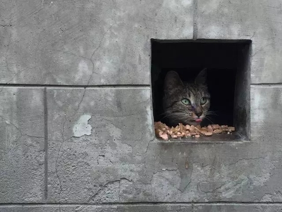 克罗地亚虽败犹荣,世界杯之旅尚未结束