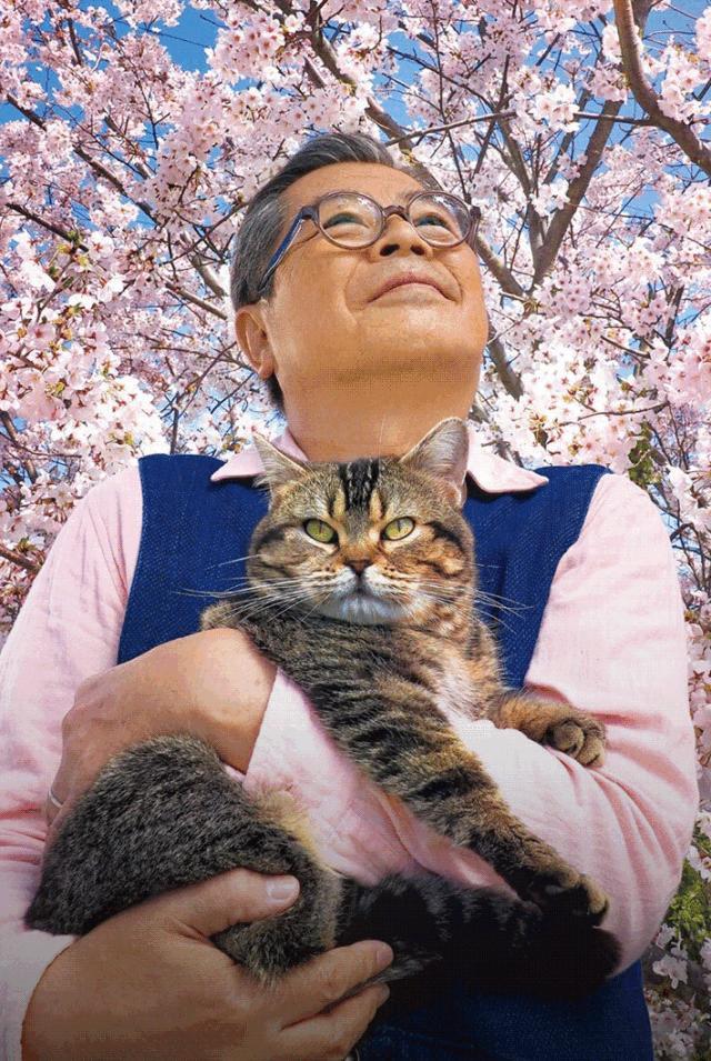 68岁爱猫萌大叔走遍世界 拍出豆瓣9 4的神仙猫片 界面 财经号