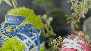 法式“球鞋控”艺术家Michel Blazy——让鞋子里长出花