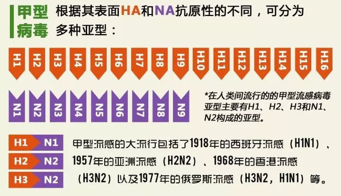 6000万人感染 1 2万人死亡 对比美国大流感 才知道中国有多难 界面新闻 Jmedia