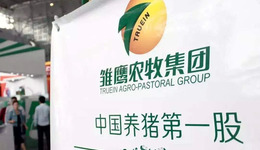 坑惨18万股东、身负180亿债务，中国养猪第一股退市余波