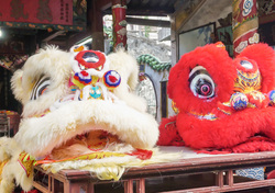 两种“狮子”，三个故事