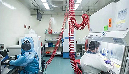人设崩塌的美国生物实验室