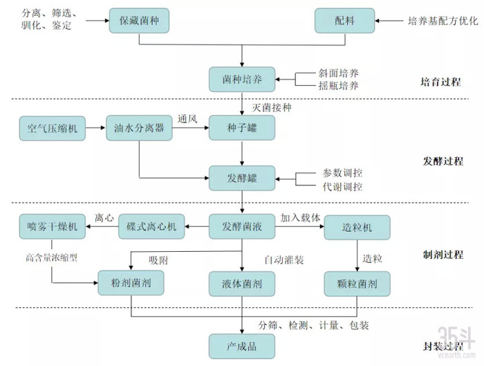 管家婆马报图今晚