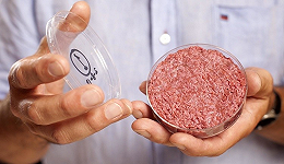 细胞培养肉：畜牧业的革命