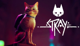 2022年Steam评分最高，为何网友对一只猫沉迷不已？