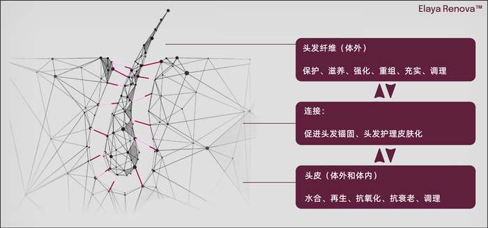 管家婆马报图今晚