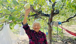 商河有殷巷：古韵古镇，唯美印象