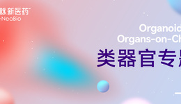 看了25+類器官公司后，我們做了一篇全景式盤點