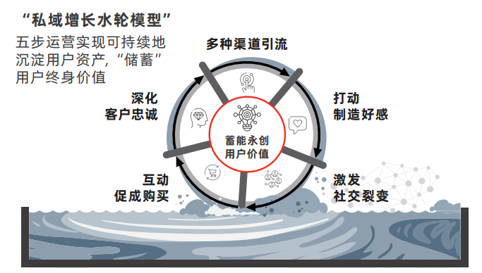 管家婆马报图今晚