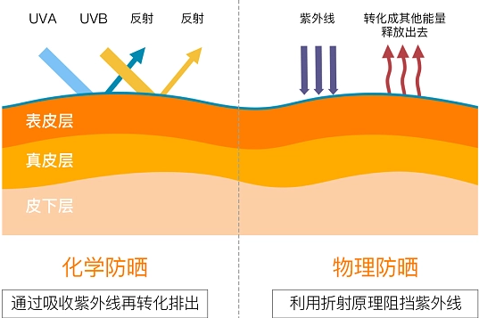 管家婆马报图今晚